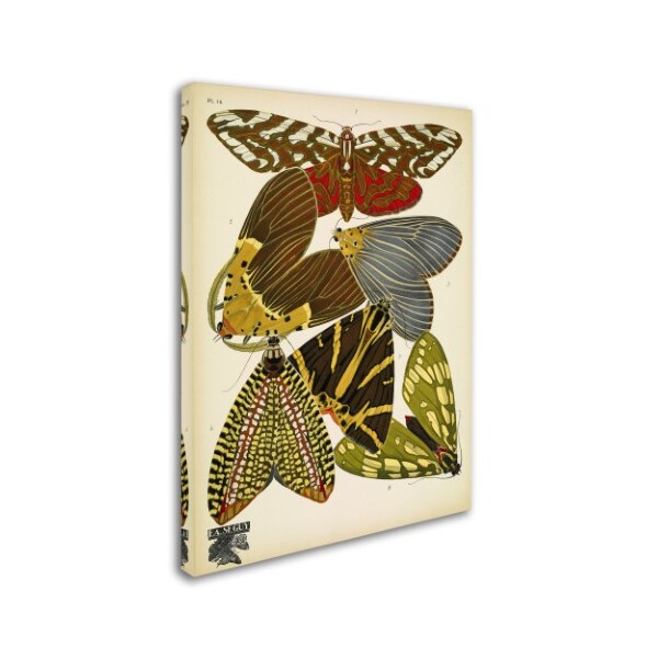 Vintage Apple Collection 'Papillons 14' Canvas Art,18x24